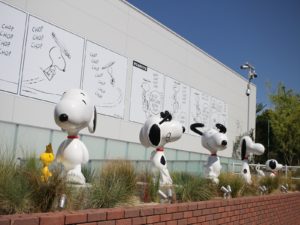IMG_0302