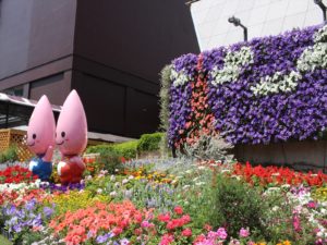 IMG_0457